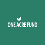 OAF Global Data Analyst Intern Jobs Kenya