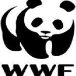 WWF Head Sustainable Finance Communications Jobs Kenya