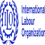 ILO Monitoring and Evaluation Officer Jobs Vacancy Nigeria