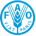 FAO Human Resource Support Specialist Jobs Vacancy Kenya