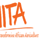 IITA Consultancy Services TAAT II Nigeria